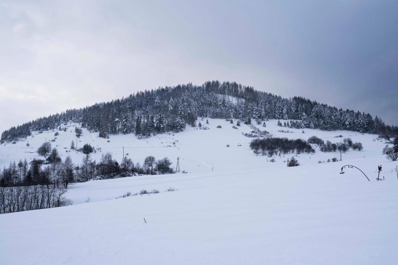 Domki Pod Wulkanem Krosnica  Buitenkant foto