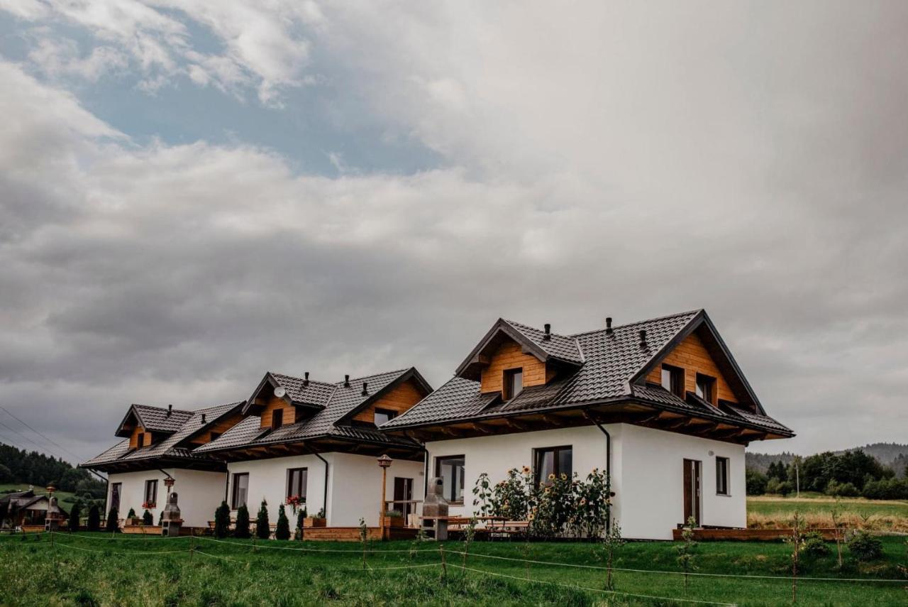 Domki Pod Wulkanem Krosnica  Buitenkant foto